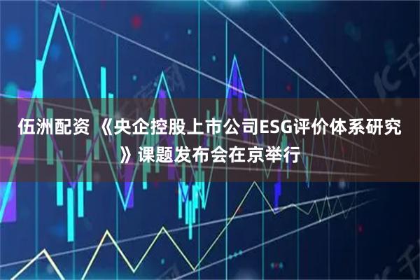 伍洲配资 《央企控股上市公司ESG评价体系研究》课题发布会在京举行