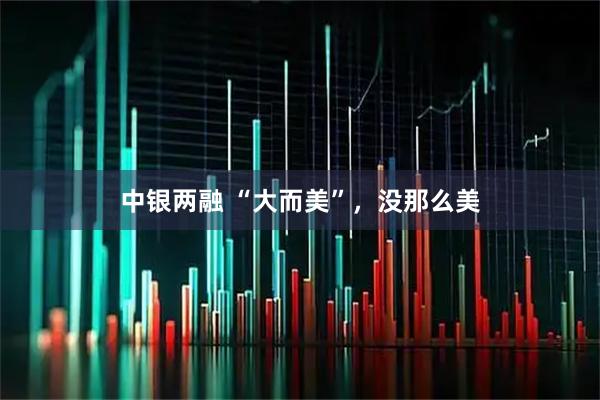中银两融 “大而美”，没那么美